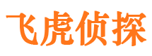 乡宁市私人侦探